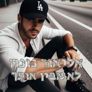 אני לא מבין אותך