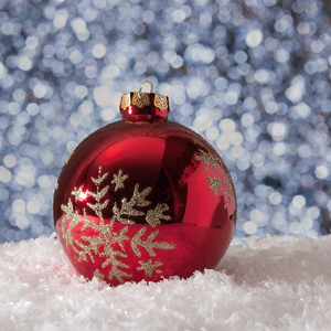 Berry Merry Christmas