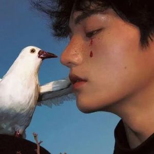 广西进行曲（新疆马蹄打了贝贝）