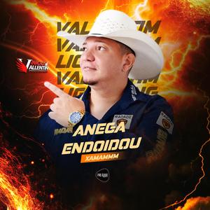 Anega endoidou