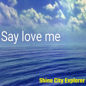 サイレントヴォイス