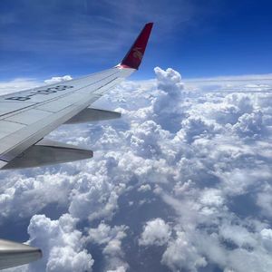 相爱后动物感伤