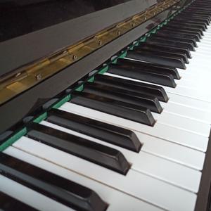 吉格（中国音乐学院7级a组）