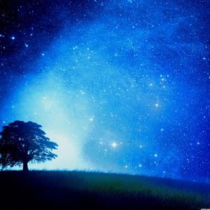 Breadwinner (feat. Wentz)