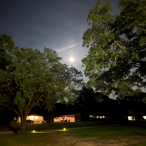 Don't Ask Me (i have no idea)