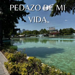Pedazo De Mi Vida