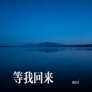 等我回来