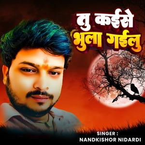 Tu Kaise Bhula Gailu