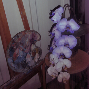 一个人去巴黎（怎么变成一个人去巴黎～）