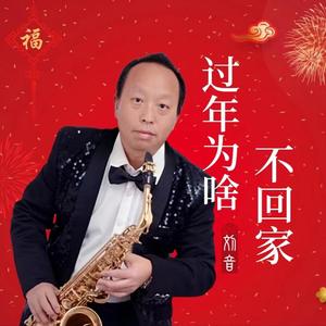 过年为啥不回家