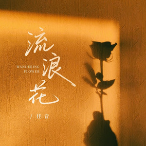 流浪花