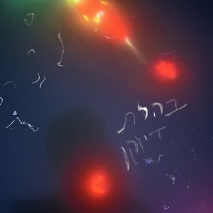 עמק שברים (הבלש משלים עם גורלו ועם המגפה)