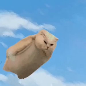 不能欺负小狗啊