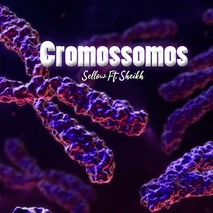 Cromossomos