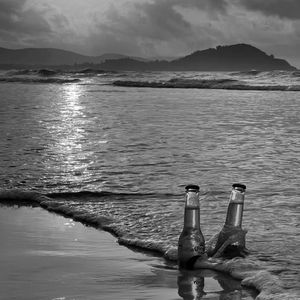 风吹丹顶鹤（cover：葛东琪）