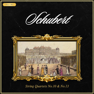 Schubert String Quartet #13 In A Minor, Op. 29, D 804, Rosamunde - 1. Allegro Ma Non Troppo