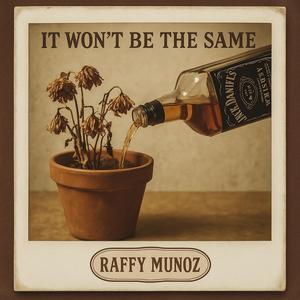 It Won't Be The Same