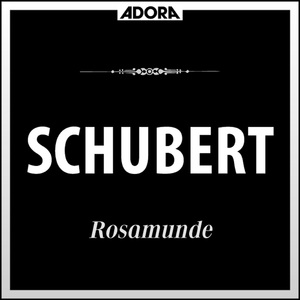 Rosamunde für Chor und Orchester, D. 797: Geisterchor "In der Tiefe wohnt das Licht"
