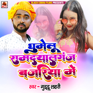 Ghumelu Ramdayalganj Bazariya Me