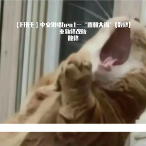 中文说唱beat--‘面朝大海’{散修}重新修改版