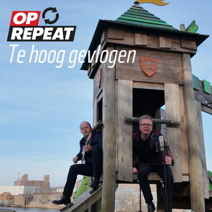 Te hoog gevlogen
