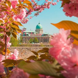 电子超嗨旋律 (21)