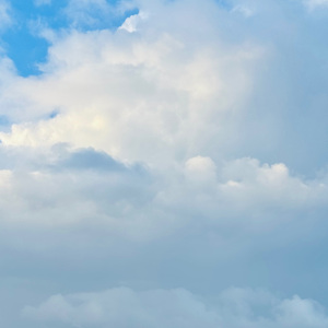 我在纽约打电话给你