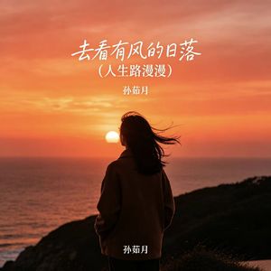 去看有风的日落（人生路漫漫）