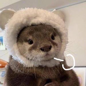 你笑起来真好看