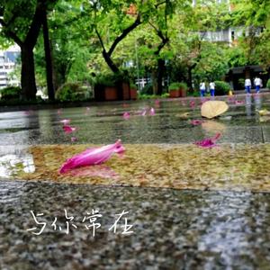 与你常在（花开版）