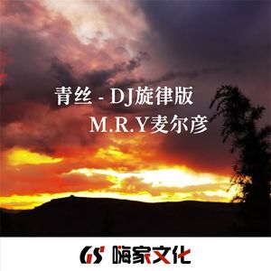青丝 (DJ版)