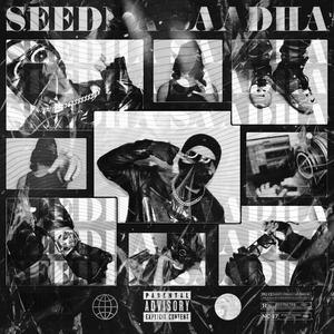 Seedha Saadha (feat. Hruday)