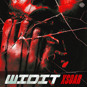 Widit