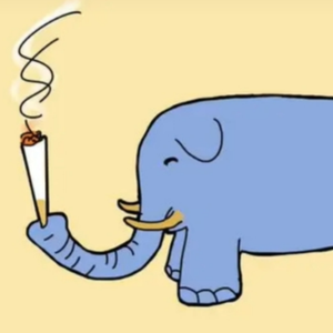 盖伦发发FREESTYLE