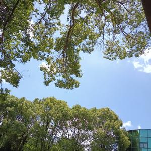 天空你是否知晓