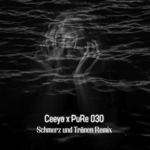 Schmerz und Tränen (feat. Ceeya) (Remix)