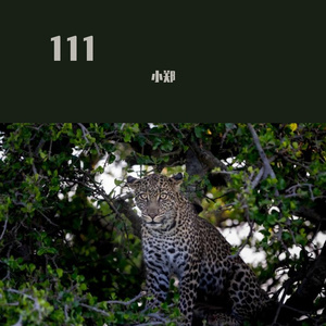 小郑-成总 - 有一种悲伤 (Remix)（小郑 remix）