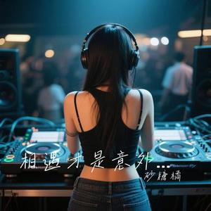 相遇才是意外 (DJ版)