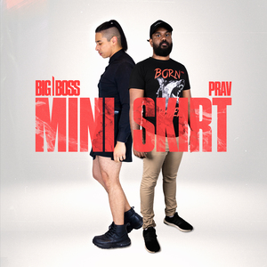 Mini Skirt (feat. PRAV)
