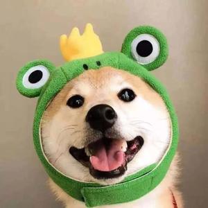 小兔子与小狐狸(山东话版)