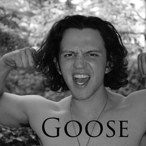 Goose