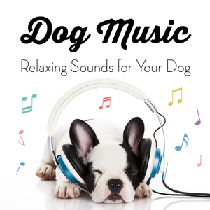 Soft Music for Pets