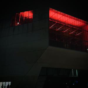 endless (feat. shosharascal)