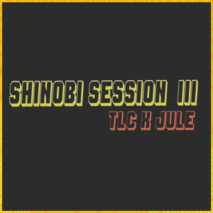 Shinobi session 3