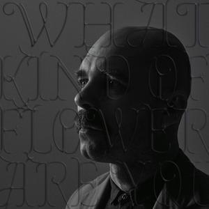 WHAT KIND OF FLOWER ARE YOU?