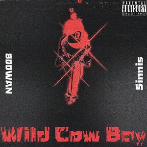 Wild Cowboy