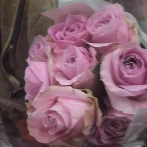 我想（翻自 Jason小宋）