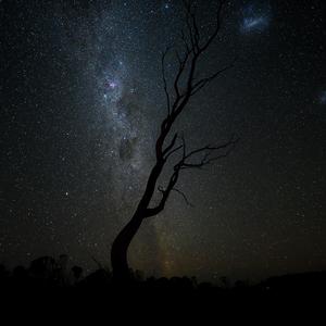 去月球（To The Moon）