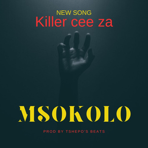 Msokolo