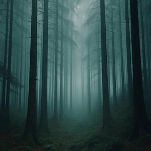 Forest. 5